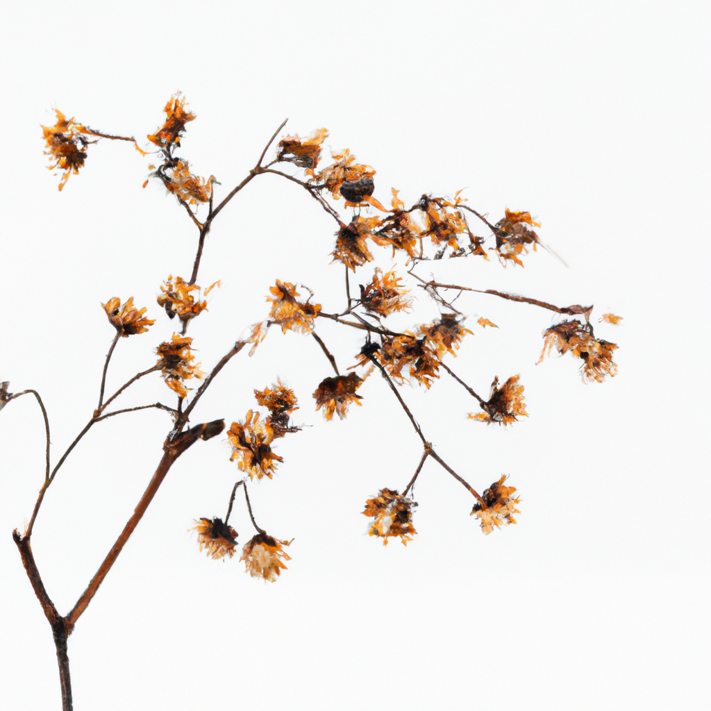 서울 마포 지점 자연광 스튜디오 내부